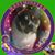 Rose Mitman's profile image