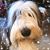 Karen Norteman's profile image