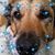 Linda Norris's profile image