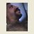 Rob Lawler's profile image