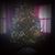Kelly Cole-Merola's profile image