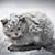 Debra Winchell's profile image