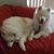 Debra Fetiak's profile image