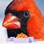Sharon Atlas's profile image