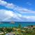 Julie Herbart-Eady's profile image