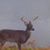Rick Whitehurst's profile image