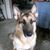 Kathi Wolvington's profile image