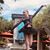 Diane Brooks Heiken's profile image