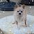 Tina Simpson's profile image