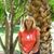 Mary Ochs's profile image