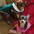 Lynda Thackrey Lingg's profile image