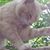 Teresa K. Bishop's profile image