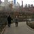 Janeane Delgado's profile image