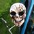David Graze's profile image