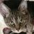 Cathy Chmura-Birchfield's profile image