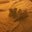 CW Liao's profile image