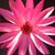 Brenda Jarratt's profile image