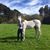 Alyssa Colombet's profile image