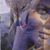 Jody Walsh's profile image