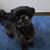 Jane Dobos's profile image