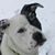 Maria Apholt's profile image