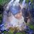 Debra Bramwell's profile image