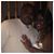Michel Esmond's profile image