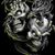 Mark Cavender's profile image