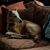 Cheri M. Martell's profile image