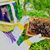 Andrea Porter's profile image
