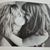 Tracey Fox Clarke's profile image