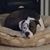 GregnHolly Wardlow's profile image