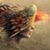 Sultan Moeen's profile image