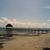 Lana McKay Brown's profile image