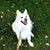 Kristine Starr's profile image