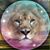 Lisa Crews's profile image