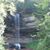 Dan Faith Bardy's profile image