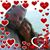 Roxanne Watts Gustafson's profile image