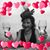 Debbie Sweeney's profile image