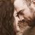 Kasha Treat's profile image