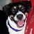 Jacalyn Buckalew Hicks's profile image