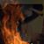 Scott Petrinec's profile image