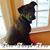 Denise Kenney's profile image