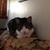 Aimee Charbonneau's profile image