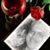 Cathy Cale's profile image