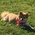 Shirley Klotz's profile image