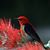 Melissa Kandace Duckett's profile image