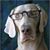 Leonard Braun's profile image
