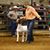 Abby Kay Burkham's profile image