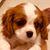 Vickie Capps's profile image